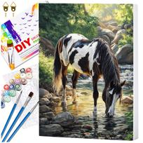 Tapyba pagal numerius su rėmu 40 x 50 cm „Žirgas prie upelio“ TP57