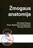 Žmogaus anatomija - Rimvydas Stropus, Kazys Algimantas Tamašauskas, Neringa Paužienė