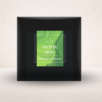 DETOX BOX – VIRŠKINIMUI / ŽARNYNUI
