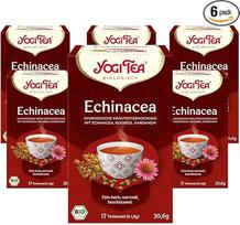 "Yogi Tea Echinacea", ajurvedinė ekologiška prieskonių arbata, be kofeino, su rooibos ir rytietiškais prieskoniais, 6 x 17 maišelių (iš viso 102 arbatos maišeliai)