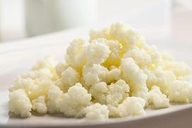 10g Kombuchaorganic - Kefyro kefyro laikiklis su sertifikuotomis gyvomis kefyro bakterijomis - karvės pienas - fermentas - ekologiškas