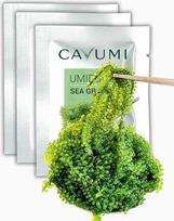 CAVUMI Jūros vynuogės 3 x 25 g / Jūros vynuogės kaip dumblių užkandis / džiovinti jūros dumbliai / Umibudo kaip traškūs žalieji ikrai (75 g_3 pakuotės)