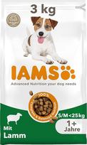 IAMS sausas ėdalas šunims su ėriena - sausas ėdalas suaugusiems šunims nuo 1 metų, tinka mažiems ir vidutiniams šunims, 3 kg