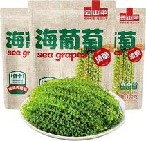 Jūros vynuogės (100 g x 3 pakuotės), getrockneter Seetang, Umibudo, grüner Kaviar, zum Verzehr von köstlichen Kimchi, Beilagen, Instantgurken, Gemüse, Hot Pot Zutaten sea grapes zum essen
