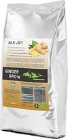 Koi Food Ginger Grow Ginger Potato Spirulina + Immune for Koi Fish Food (imbieras - bulvės - spirulina, 2 kg)
