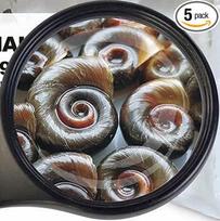 Live Food Posthorn Snails Medium - 5 x 90 ml maišelis Pašaras sraigėms - maistas akvariumo žuvims