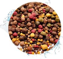 Warnicks Animal Feed Service Koi maistas 3-6 mm mišrus 5 rūšių mišinys 15 kg