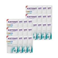 Kattovit Gastro Pate antienos 24x85 g maišelis