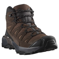 SALOMON shoes X Ultra 360 LTR Mid GTX dark earth/delicioso/castlerock