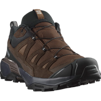 SALOMON shoes X Ultra 360 LTR GTX dark earth/delicioso/sharkskin