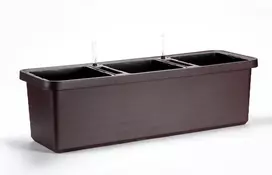 URBALIVE BERBERIS TRIO vazonas su laistymo sistema 117 x 39 cm, rudas