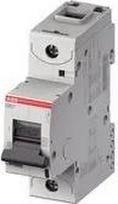 S801P-C100 Miniature circuit breaker (MCB) 1P C 100A 2CCG001227R0001 | 7612271516963