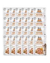 BRIT CARE Fillets in Gravy Pouch Kitten Savory Salmon 24x85g su lašiša kačiukams