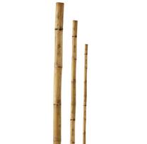 Bambukinis kuoliukas BAMBU 150 cm natūralus