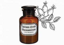 Calcium citrate Glucosaminum +Vit.D3+Rosa canina pulveris milteliai 70 g