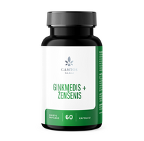 GINKMEDIS+ŽENŠENIS tab. N60