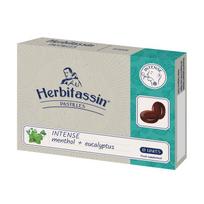 HERBITASSIN Intense su mentolu ir eukaliptu pastilės N12