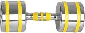 INSPORTLINE Chrome Yellsteel Dumbbell 12 kg