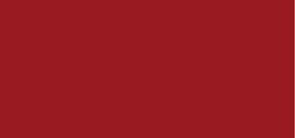 Loreal Plump Ambition Hyaluron Lip Oil Lūpų aliejus 390 Cherry Cherie lūpų aliejus