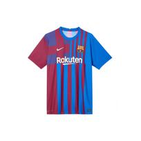 Nike Futbolo Marškinėliai Žaidėjo Versija 21-22 Sezonas Namų Rinkinys Vyriški Viršutiniai Drabužiai Mėlyni CV7847-428 M blue