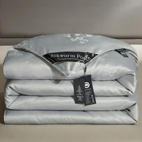Originalus šilkinis pledas 100% šilkmedžio šilkas Prabangus šiltas pledas Pavasario rudens žiemos pledas Vienvietis dvigulis antklodė Šilkinis pledo branduolys 150x200cm 2.0kg pilka spalva