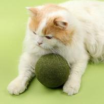 Large Catnip Balls Healthy 10cm Cat Mint Ball Lickable Natural Catnip Toys Self Relieving For Cat Kitten Indoor Outdoor Playing United States
