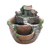 Dervos sultingas augalas bonsai gėlių vazonas Sodo vazonas Biuro namų laikiklio dekoras oranžinė