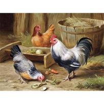 5D deimantinis piešimas Gaidžio vištienos viščiukas Visiškai apvalus deimantinis siuvinėjimas kryželiu siuvinėti mozaikos paveikslėlis Full Round 20x30CM
