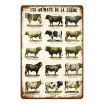 The Butcher's Guide Poster Vintage Metal Signs Meat Cut Charts Painting Kitchen Art Picture Restaurant Wall Decor YL006 20x30cm