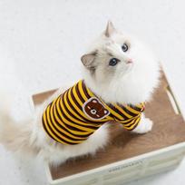Spring and summer thin striped bipods into cat anti-hair loss teddy bear air-conditioned room warm cat pet clothes XS (recommended weight 1-1.5kg)