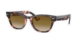 Akiniai nuo saulės RAY BAN moterims RB2201-133451 (Lęšis/tiltelis/auselė) 54/17/145 mm | RB2201-133451 | 8056597461535