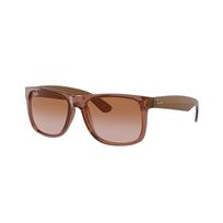 Akiniai nuo saulės RAY BAN unisex RB41656594135 (Lęšis/tiltelis/auselė) 55/16/145 mm | RB41656594135 | 8056597616409