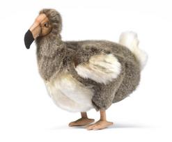 Dodo 5028 No.