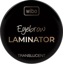 Antakių muilas Wibo Eyebrow Laminator, 4.2 g, skaidri sp.