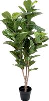 54 lapų dirbtinis Fiddleleaf medis Real Touch 54 lapai 150cm