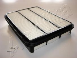 ASHIKA Oro filtras Air cleaner 20-02-251