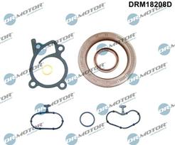 Dr.Motor Automotive Visas tarpiklių komplektas, variklis DRM18208D