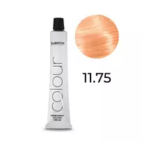 Subrina Professional, Highlift Colour, nuolatiniai plaukų dažai, 11/75 skirti šviesiems plaukams, speciali kaštoninė raudona, 100 ml, moterims
