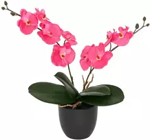 Dirbtinė orchidėjų augalas Raudona 36 x 10 x 30 cm