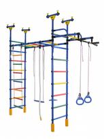 Dvigubas sporto kompleksas (gimnastikos sienelė) DRAMBLIUKAS mėlyna-vaivorykštė, 235-293x52,5cm