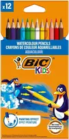 Spalvoti akvareliniai pieštukai BIC 8575613, 12 spalvų