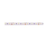 LED juosta 12V 14.4W/m nehermetiðka IP20 šaltai balta 6500K 100lm/W PLUS AKTO 1 m