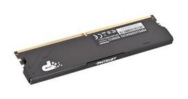 Patriot Premium Black DDR5 12GB 5600MHz Radiator 1Rank