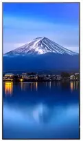 Monitorius NEC MODEL PN-P656, 65" P-Series Large Format Ekranas, UHD, 700cd/m2, D-LED backlight, 24/7 proof, SDM Slot, CM-Slot
