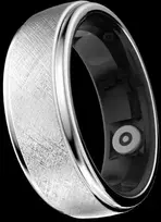 Išmanusis laikrodis Shenzhen HiFuture Ring2 Titanium Sidabrinis 12 (68mm)