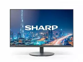 Monitorius Sharp NEC Multisync DD-E244FL