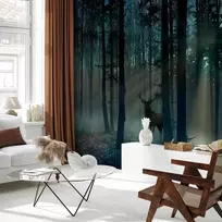 Fototapetai - Mistinis miškas trečias variantas