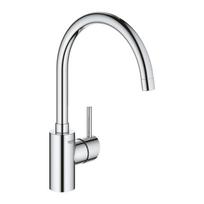 Virtuvės maišytuvas GROHE CONCETTO 32661003