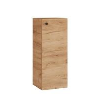 Sieninis spintelė Riva U32-11 Gold Craft Oak