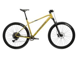 KROSS Level 6.0 bro-pew g kalnų (MTB) dviratis (29") (M)